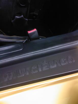 murcielago1